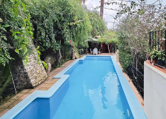 Navila Estudio en la piscina
